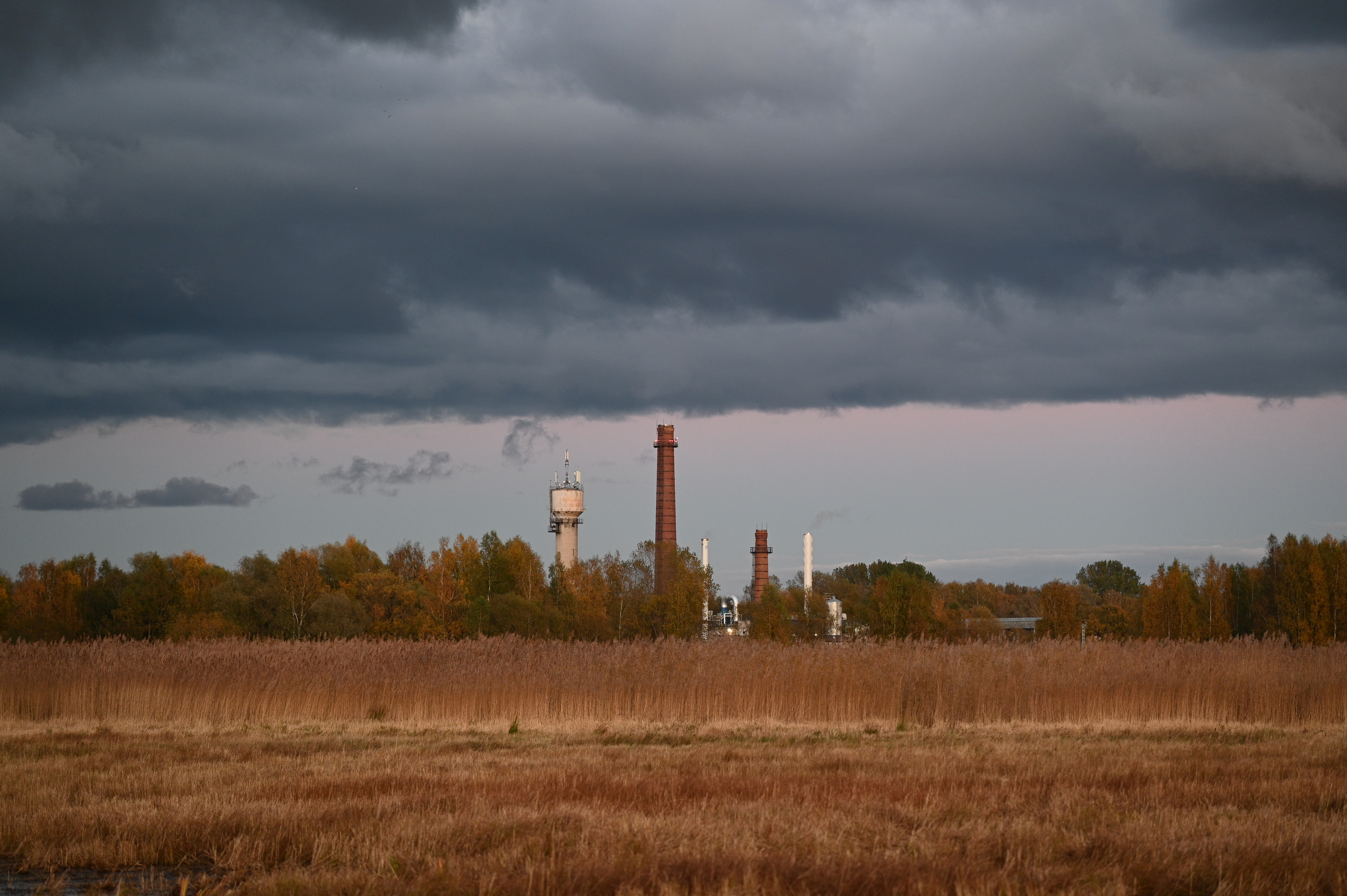 2025/10/18 - walk/DSC_0561.JPG